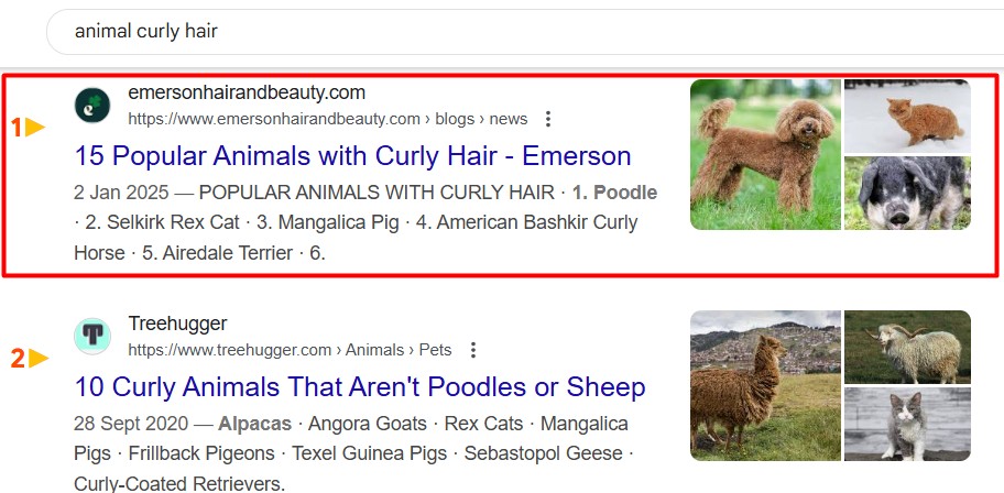 Emerson SERP Organic Ranking
