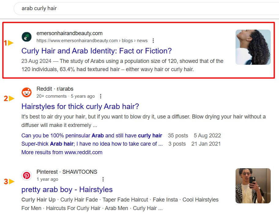 Emerson SERP Organic Ranking